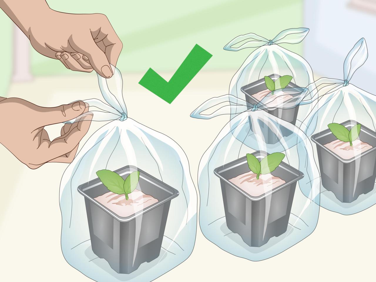 Propagate African Violets Like an Expert with These Easy Steps