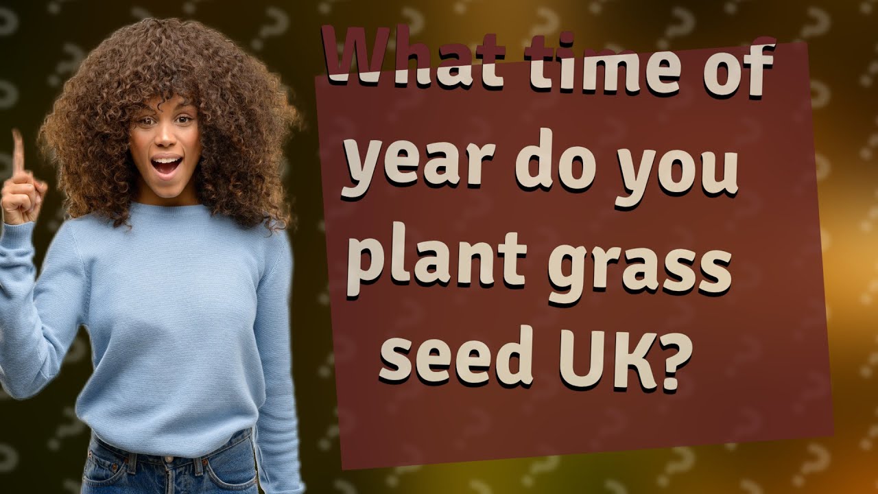 When to Sow Grass Seed in the UK: The Crucial Timing for a Gorgeous Lawn