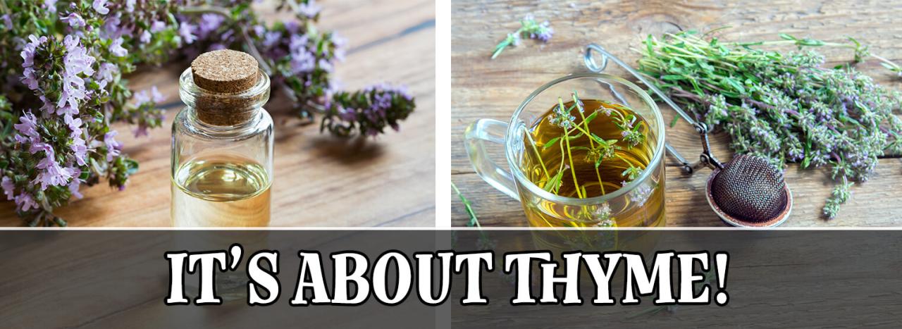 Why Thyme Piece Should Be Your Go-To Herb for Flavor